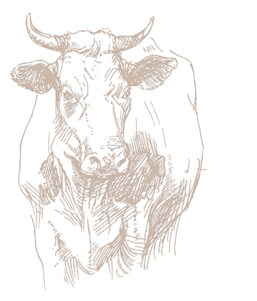 Beechy Wagyu